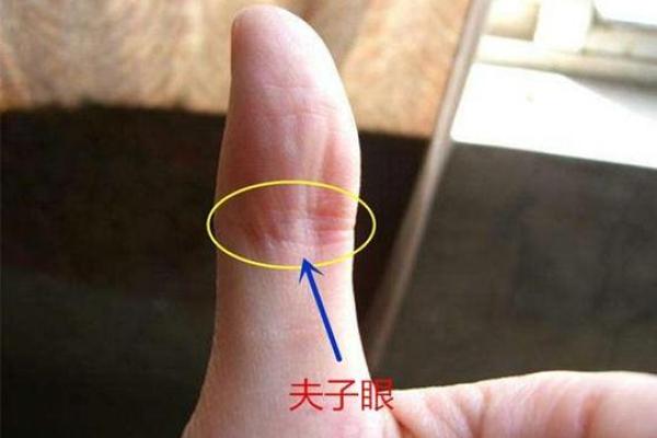 男人棉花手的命理解析：揭开手相与命运的神秘面纱