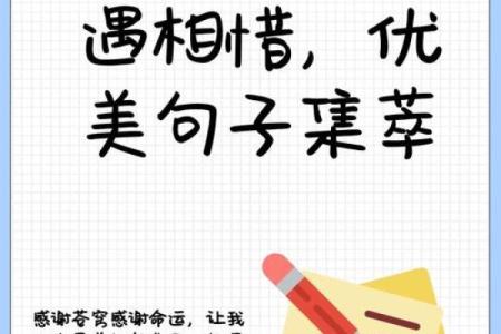 探秘壬申日出生者的命运与人生轨迹