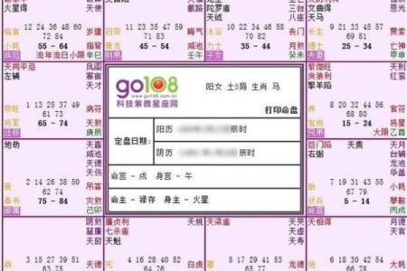 解析命盘，探寻女强人的命格特征与人生轨迹