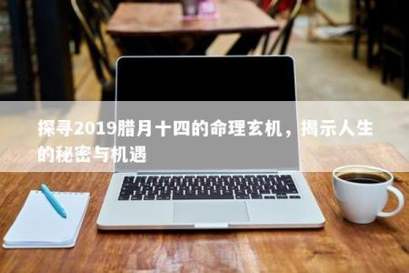 探寻2019腊月十四的命理玄机，揭示人生的秘密与机遇