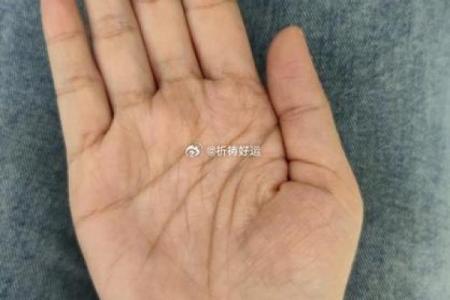 揭秘：女人脸型与富婆命的秘密，如何通过面相找到财富之路！