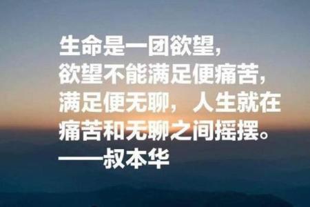 探秘命理学：地支背后的深厚智慧与人生含义