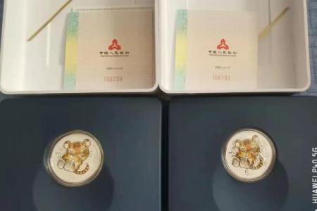 探秘壬申虎年：适合哪些命格，带来好运与机遇？