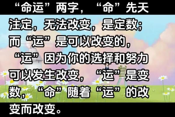命运与选择：探寻《这就是命》的深意与启示