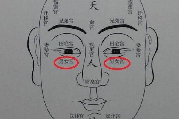 揭示丙子命宫的独特命运：从命理看人生的全新视角