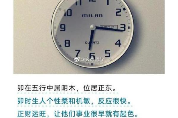 2001年出生的孩子，他们的命运与性格揭秘！
