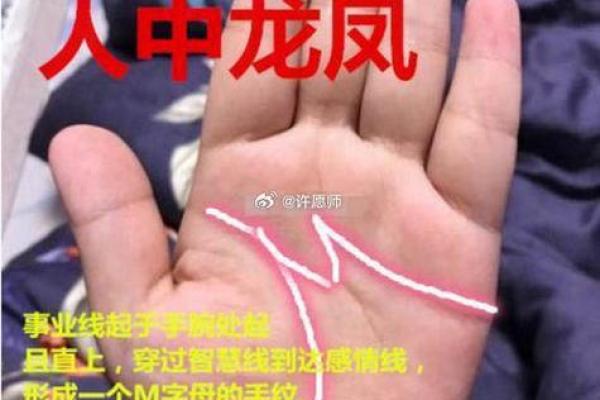 掌握手相奥秘：如何通过手相看出你的命运
