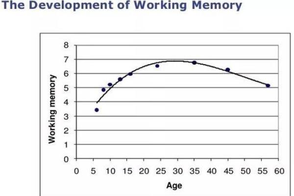 73木命：缺失的元素与提升之道揭秘