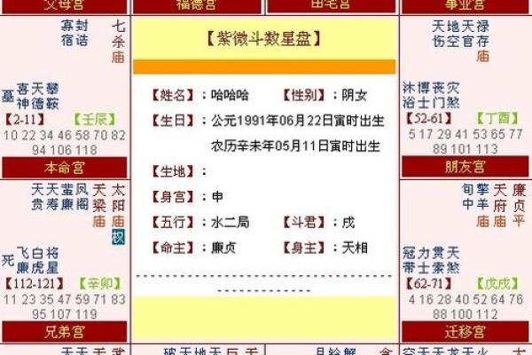 命格与职业：谁适合成为屠夫？深度解析命理中的职业选择