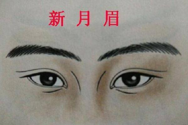眉毛短的女生命运解析：性格与人生轨迹的深意