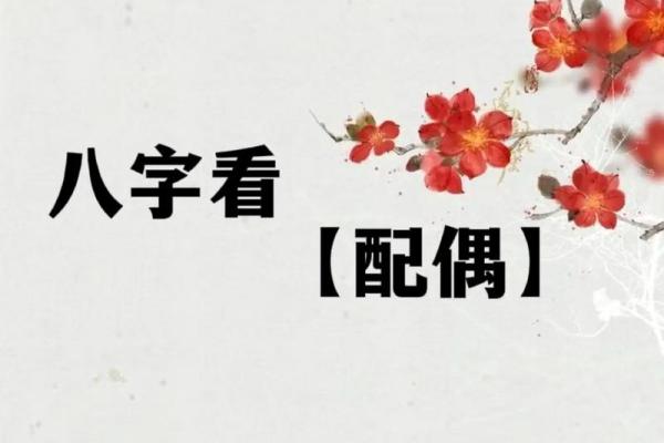命理探秘：揭开人生背后的神秘面纱与智慧珍宝