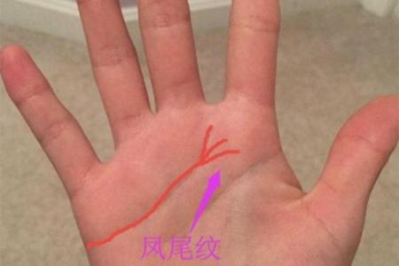 探寻掌纹的奥秘：提升男性运势的技巧与秘密
