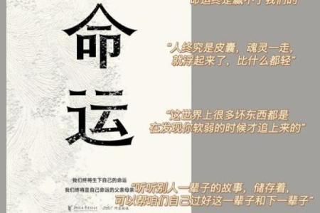 命运与选择：探寻《这就是命》的深意与启示
