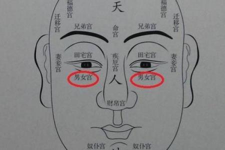 揭示丙子命宫的独特命运：从命理看人生的全新视角