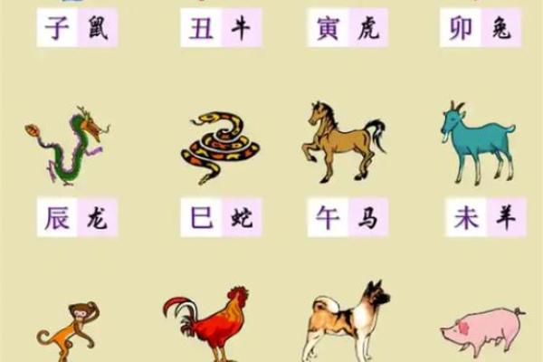 88年出生的人属什么？解读属相与命理的奥秘