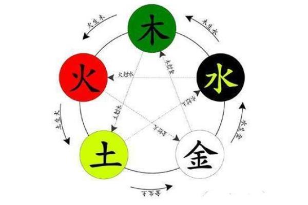 木命蛇适合的职业选择：如何找到适合你的工作方向
