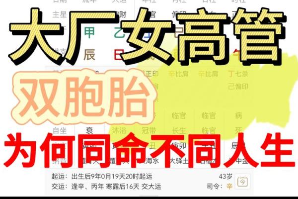 20岁生孩子属什么命，命理揭秘未来人生走向！