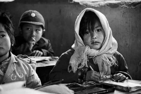 03年出生的孩子命运解析：揭秘他们的成长之路与未来机会