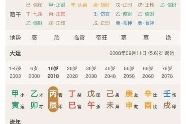 探寻命理：你命中注定有几个孩子？