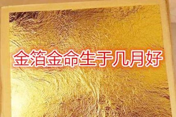金命的人适合的颜色与风水搭配指南