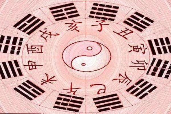 1996年60甲子的命运与人生探究：走近木鼠的神秘之旅