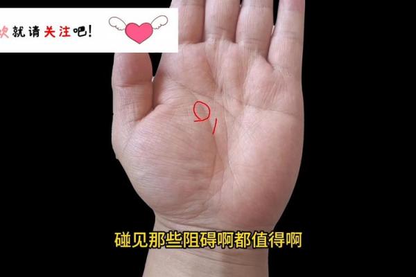 揭秘手相中方块的命运：你是否拥有幸运的护符？