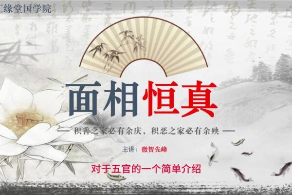 没人搭理是什么命格？透视个体命运的玄机与选择