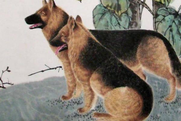 41岁属狗,人生转折与命运解读,如何把握未来? 41岁属狗,人生转折与命运解读,如何把握未来?