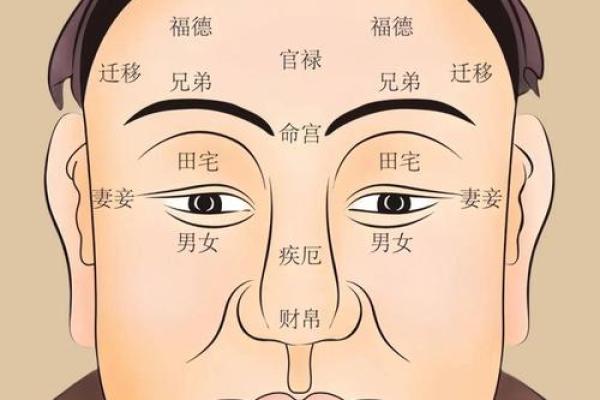 每个年头的命运对比：揭示属相与五行的神秘关联