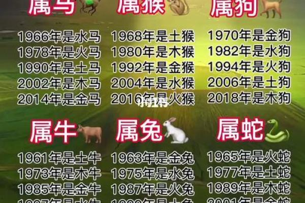 96年属相鼠：智慧与机遇并存的命运解析
