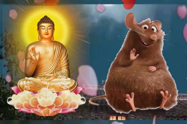 96年属相鼠：智慧与机遇并存的命运解析