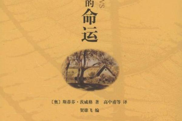 探索1984年出生的人的命运与人生轨迹