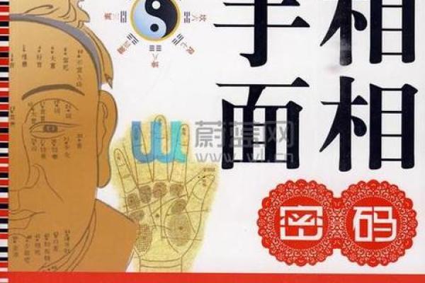 面相与命理：如何通过观察面相提升个人运势与命运
