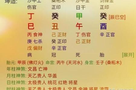 木命蛇适合的职业选择：如何找到适合你的工作方向