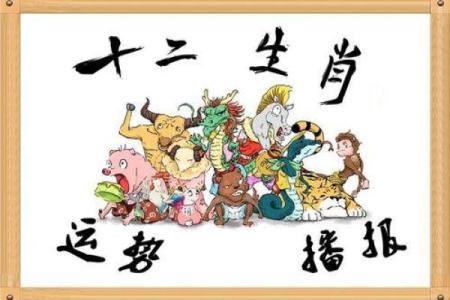揭秘鸡年的五行与命理特征，让你了解自己的命运之路！