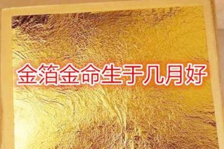 金命的人适合的颜色与风水搭配指南