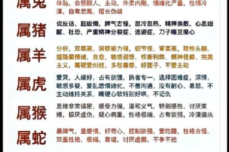探秘生肖命理：如何解读你的命运与生肖的关系