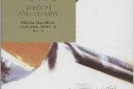 解秘1991年出生的羊儿命运：智慧与灵动的结合之旅