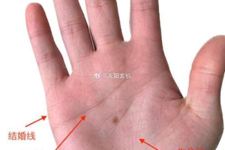 揭秘手相中的桃花运：如何识别你的爱情命运