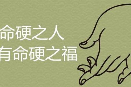 命运多舛：命硬之人的人生轨迹与成长之路