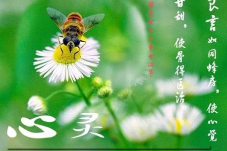 命之星：探索生命的维持力量与奥秘