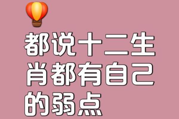 探寻2005年的命运：揭示当年出生的你拥有怎样的星辰与性格