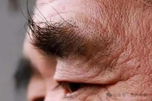 男人的眼眉与命运：从眉形看人生走向之谜