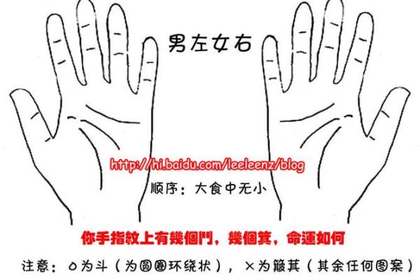 揭秘11月22日出生者的命运与性格特点 揭秘11月22日出生者的命运与性格特点