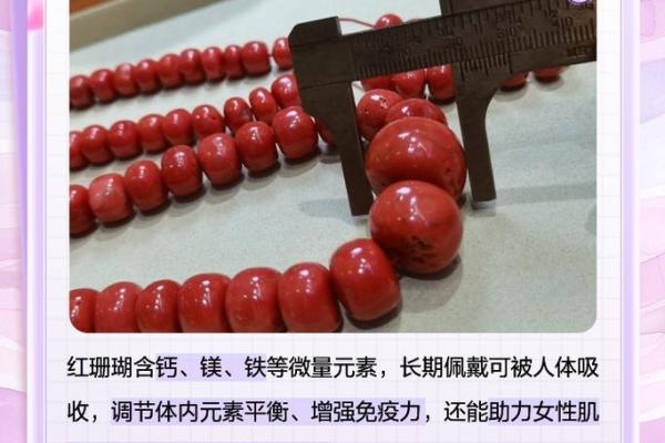 红珊瑚的魅力：适合哪些命人佩戴与养护技巧分享