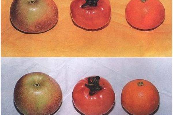 探讨木命的色彩特性与缺失的颜色对人生的影响 探讨木命的色彩特性与缺失的颜色对人生的影响