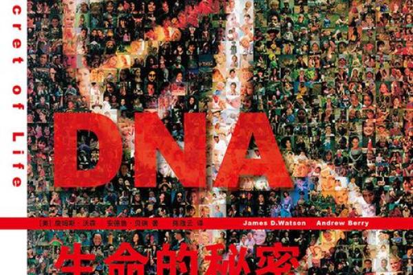 1981年属蛇砂金命：生命的流动与财富的秘密