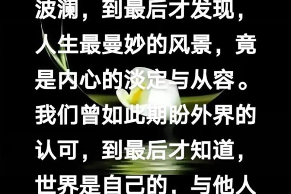 28岁人生的转折点：命运、成长与挑战的深度探索