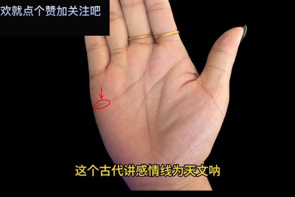 揭秘!这些手相特征的女人,注定是福星命! 揭秘!这些手相特征的女人,注定是福星命!