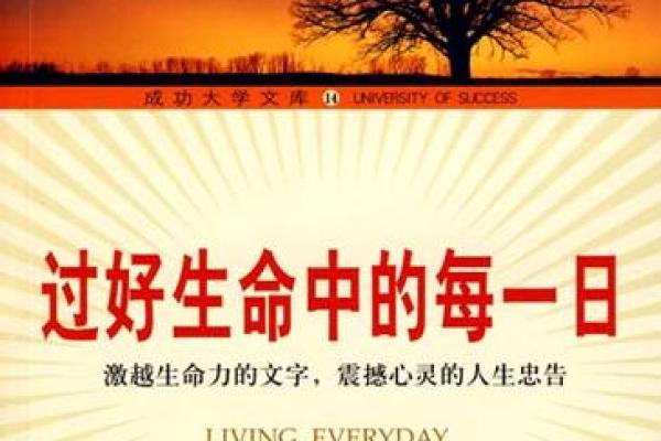 《续命奇缘：人生的另一种选择与救赎》